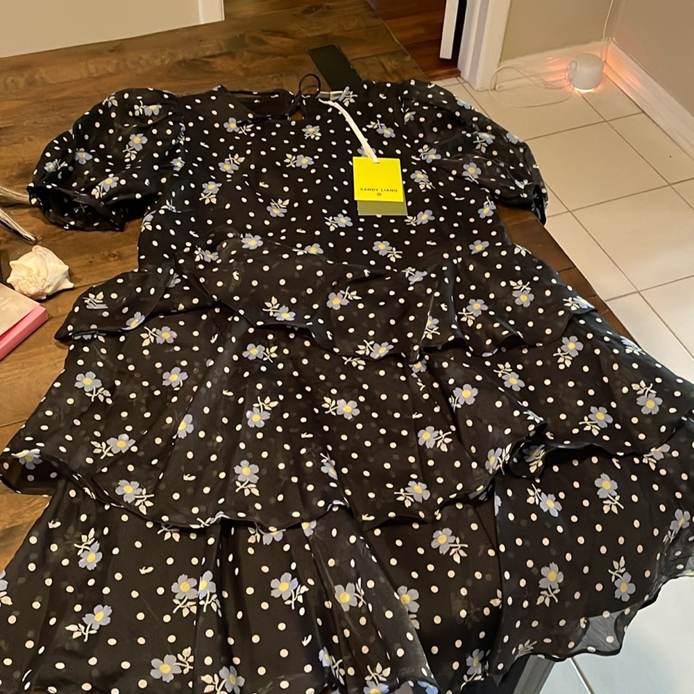 NWT- Sandy Liang x Target Collab Black Floral Mini Dress w/Open Tie Back Size S